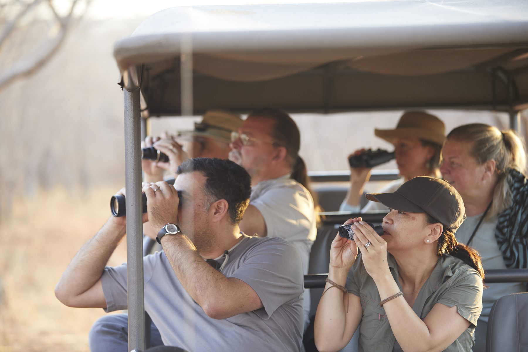 Travellers watching wildlife through binoculars on a game drive