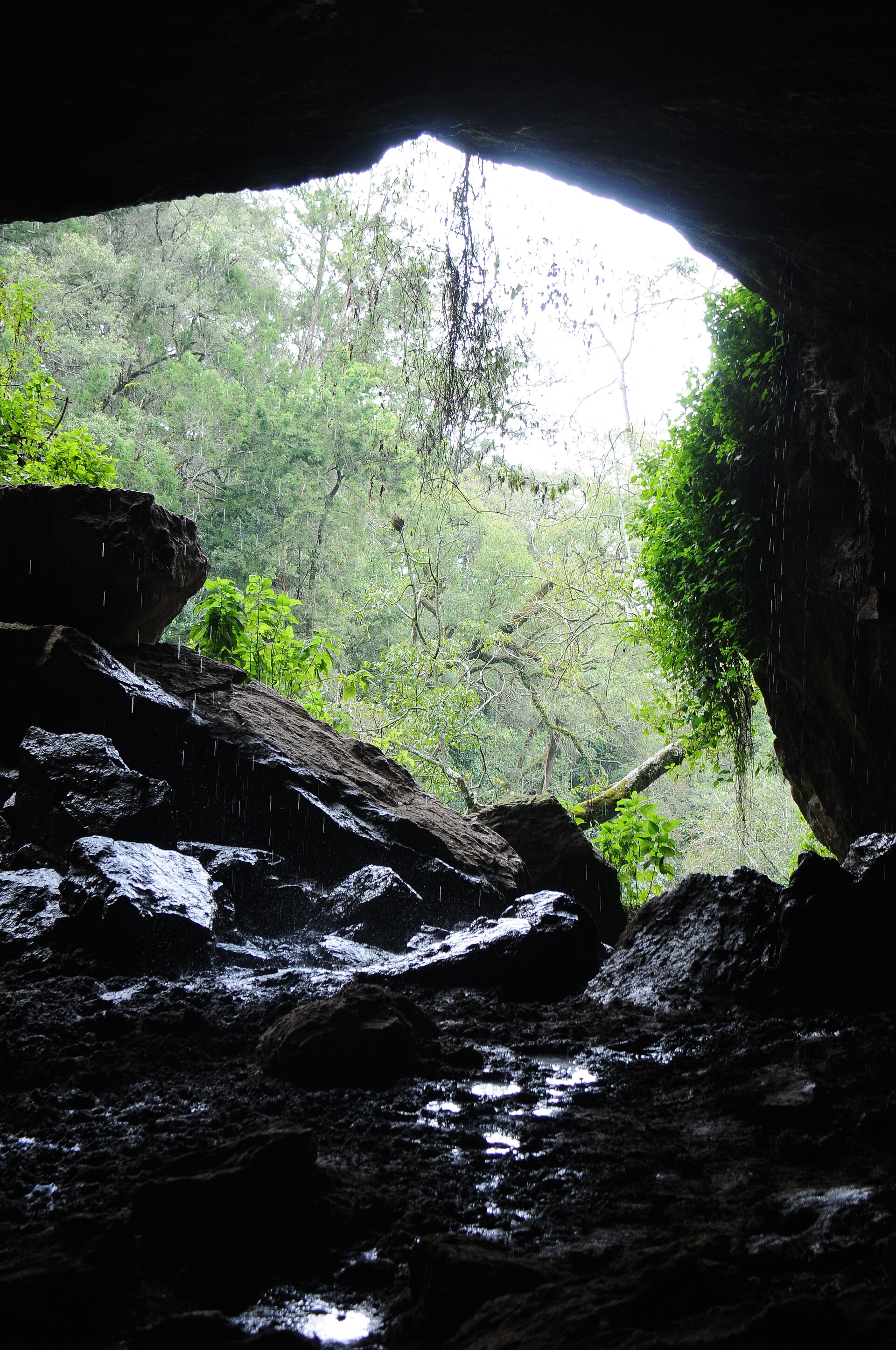 Mount Elgon Cave Adventure