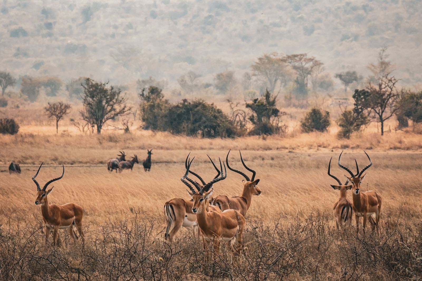 Rwanda — photographed on a SANYU journey (1)
