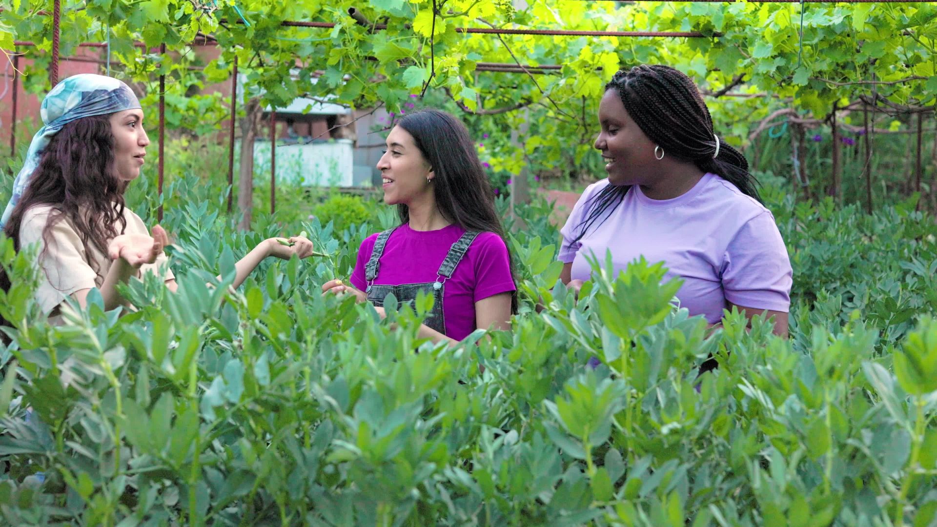 Visitors learning from a local guide in a lush green garden