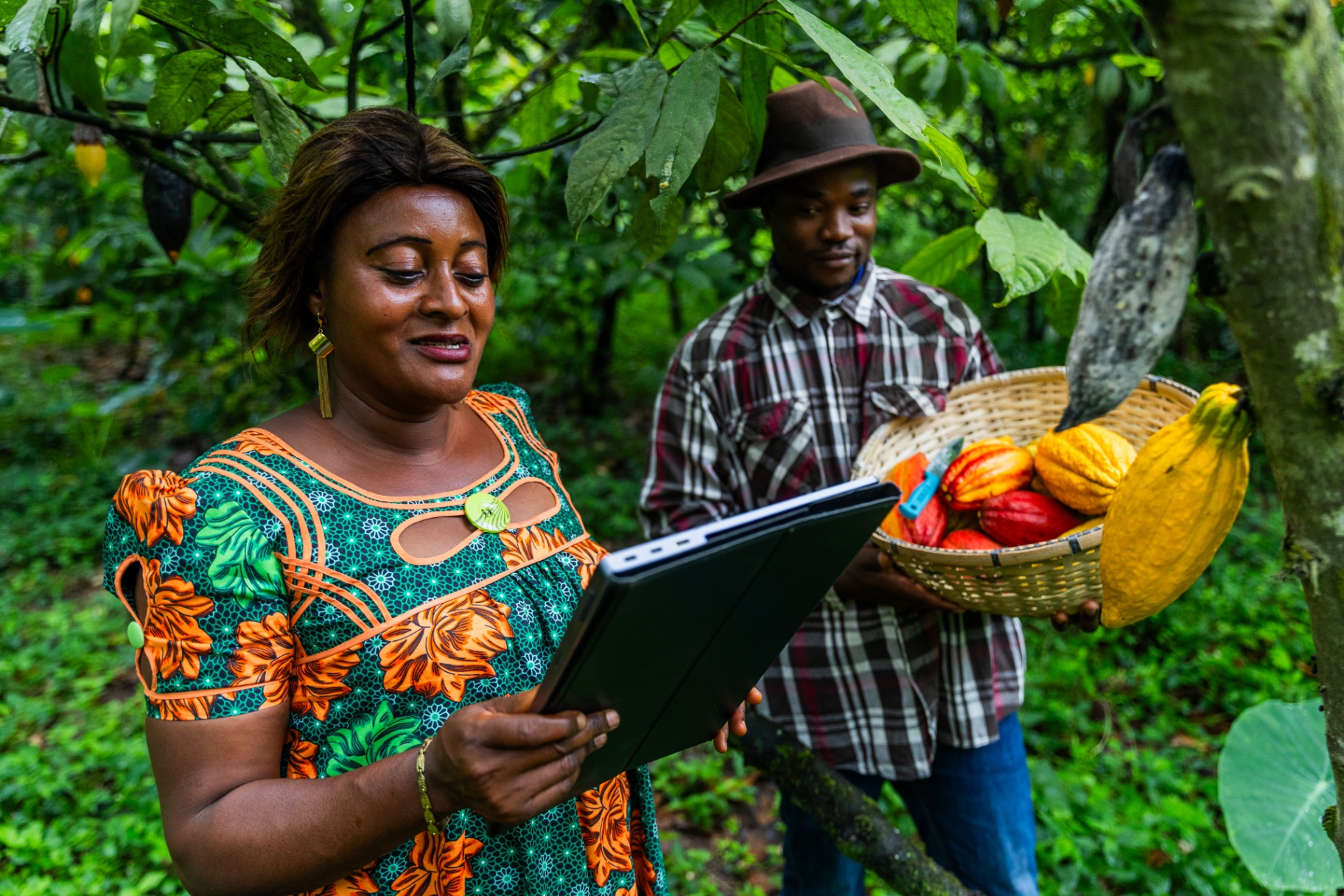 Agro Tourism