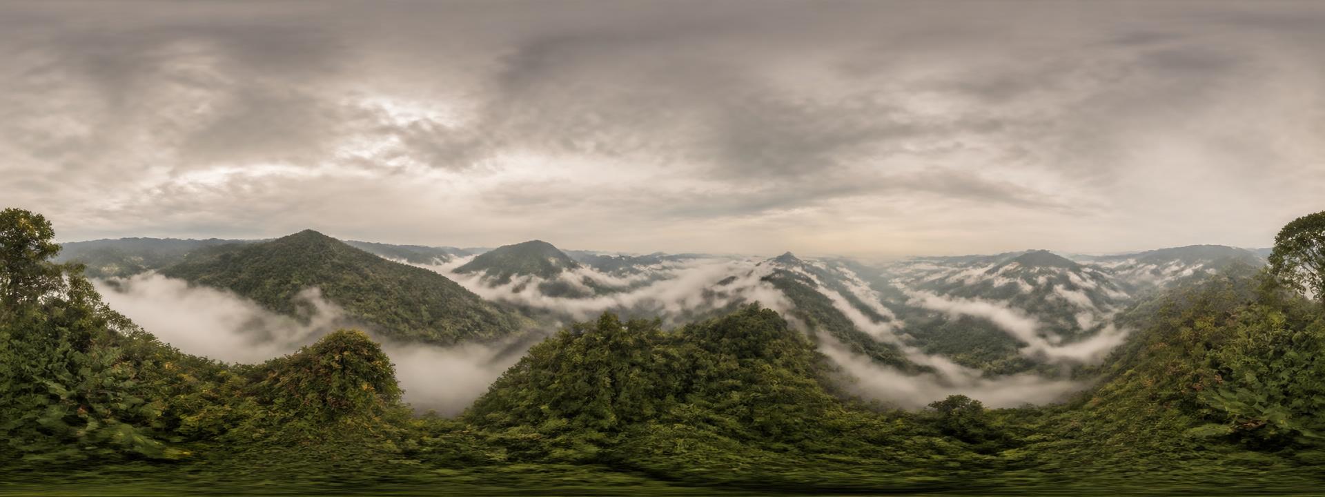 360° panoramic preview of Uganda's misty forested highlands